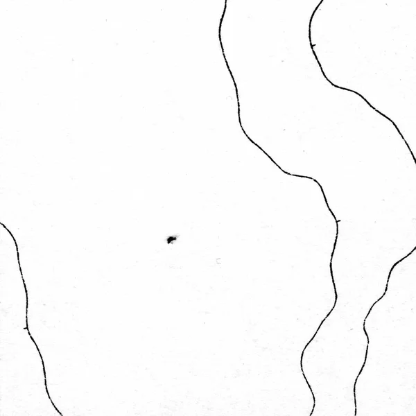 Вінтажне Відображення Контурів Натуральний Друк Ілюстрацій Карт Стародавня Картографія — стокове фото