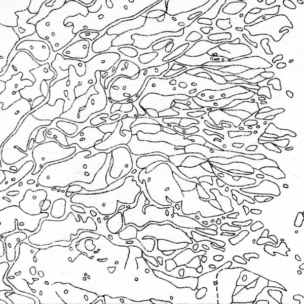 Вінтажне Відображення Контурів Натуральний Друк Ілюстрацій Карт Стародавня Картографія — стокове фото