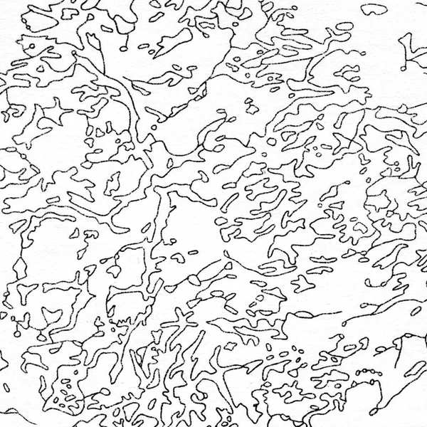 Картирование Винтажных Контуров Естественная Печать Иллюстраций Карт Древняя Картография — стоковое фото