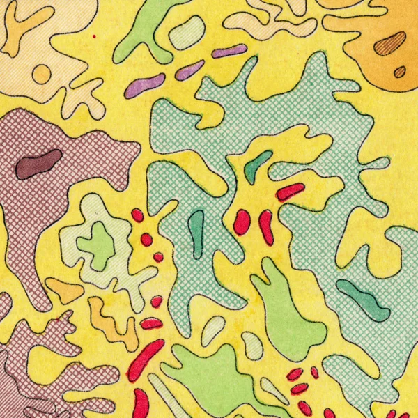 ビンテージの等高線マッピング 自然な印刷イラスト マップ 古代地図 — ストック写真