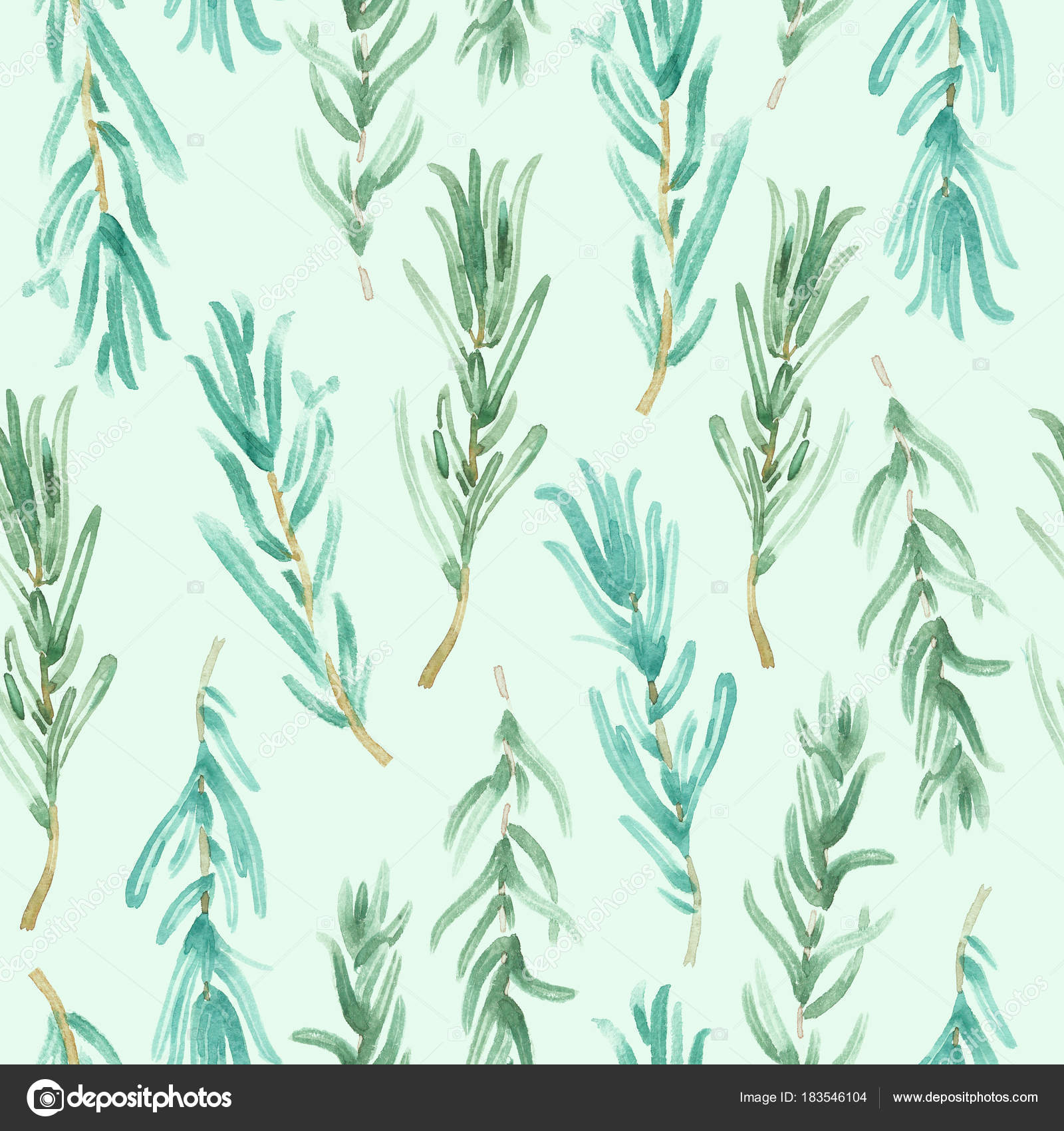 水彩ローズマリー パターン シームレス 緑ローズマリー装飾 工芸品ラベル デザイン バイオ食品 ベジタリアン自然バナー レストラン メニューの背景 無料のストック写真 C Oleg Katya Yd 水彩ローズマリー パターン シームレス 緑ローズマリー装飾 工芸品ラベル デザイン バイオ食品 ベジタリアン自然バナー レストラン メニューの背景 無料のストック写真 C Oleg Katya Yd