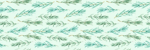 Watercolor Rosemary Pattern Seamless Green Rosemary Decoration Craft Label Design — Stock Photo, Image