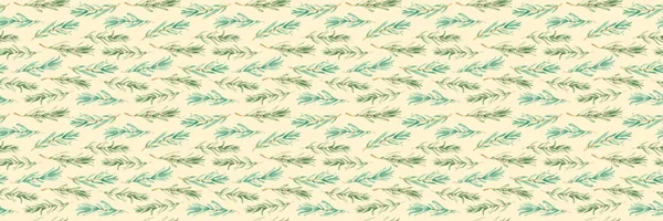 Ακουαρέλα Δενδρολίβανο Δεντρολίβανο Άνευ Ραφής Πράσινο Μοτίβο Διακόσμηση Τέχνη Ετικέτα — Φωτογραφία Αρχείου