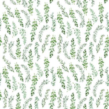 Sorunsuz yeşil kekik desen, baharat arka plan ile doğal sulu boya resim, sanat zanaat etiket tasarımı, parlak vejetaryen afiş, Restoran Menü için pişirme sulu boya bitkisel dekor.