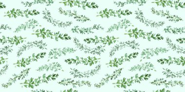 Sorunsuz yeşil kekik desen, baharat arka plan ile doğal sulu boya resim, sanat zanaat etiket tasarımı, parlak vejetaryen afiş, Restoran Menü için pişirme sulu boya bitkisel dekor.