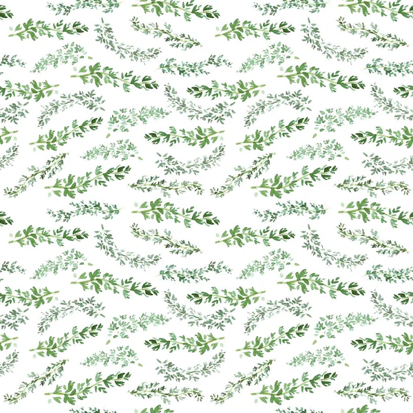 Vzor Bezešvé Zelené Tymián Akvarel Rostlinný Dekor Vaření Koření Pozadí — Stock fotografie