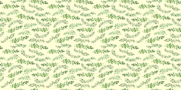Padrão Tomilho Verde Sem Costura Watercolor Decoração Base Plantas Cozinhar — Fotografia de Stock