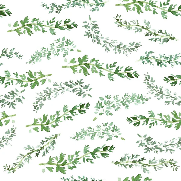 Seamless Green Thyme Pattern Watercolor Herbal Decor Cooking Spices Background — Stock Photo, Image