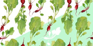 Sebze Bahçe afiş ile doğal biyo turp seamless modeli iskonto, satış. Taze sebze. Bahçe Organik bitki karikatür düz suluboya tarzı. Vejetaryen konsept tasarımı. Şablon çiftlik etiket arka plan.