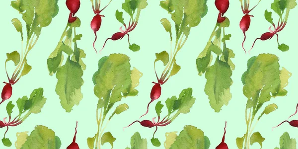 Zeleninové Zahrady Banner Přírodním Bio Ředkvička Bezešvé Pattern Slevy Prodej — Stock fotografie