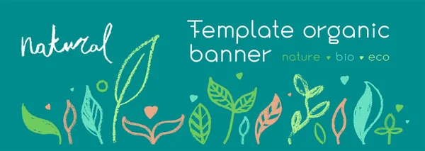 Eko mağazası için organik gıda arka planı. Çevre dostu ikonlar ayarlandı. Doğal logo elementleri. Biyolojik etiketler. Sağlıklı tasarım için organik afiş şablonu. Vektör deseni pürüzsüz bırakır. Tarım büyüme logosu.
