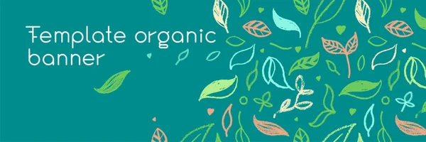 Fundo Comida Orgânica Para Loja Ecológica Conjunto Ícones Ecológicos Elementos —  Vetores de Stock