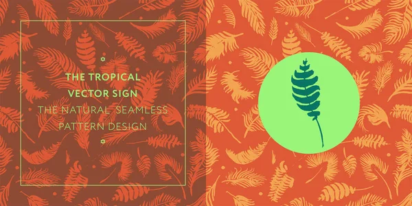 Palma Lasă Model Siluete Fundal Tropical Pentru Designul Modern Bannere — Vector de stoc