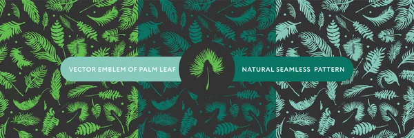 Palmblätter Silhouetten Muster Tropischer Hintergrund Für Modernes Modebanner Design Blatt — Stockvektor