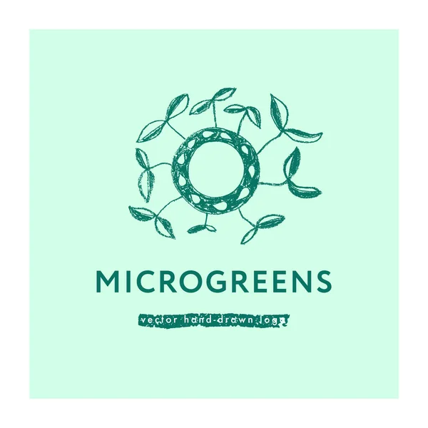 Etiqueta Etiqueta Cultivo Microgreens Logotipo Crescimento Desenhado Mão Vetorial Verduras —  Vetores de Stock