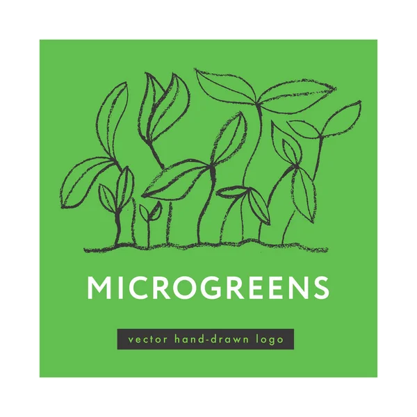 Etiqueta Cultivo Microgreens Logo Crecimiento Dibujado Mano Vectorial Verduras Vegetales — Vector de stock