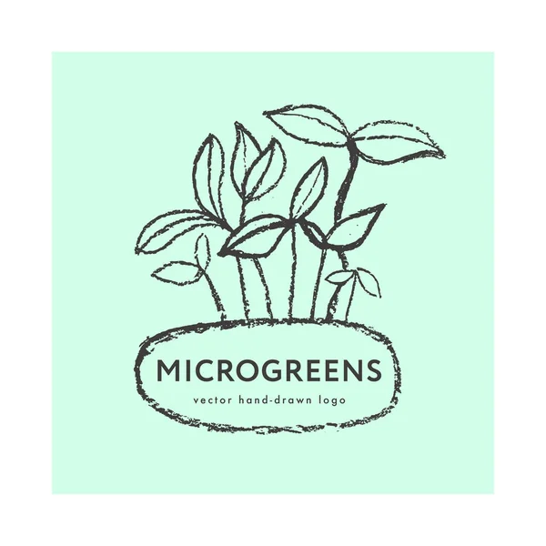 Microgreens Termesztési Címke Vektor Által Rajzolt Növekedési Logó Növényi Zöldségek — Stock Vector