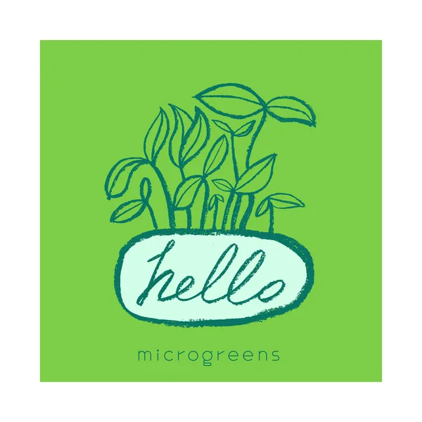 Etiqueta Etiqueta Cultivo Microgreens Logotipo Crescimento Desenhado Mão Vetorial Verduras —  Vetores de Stock