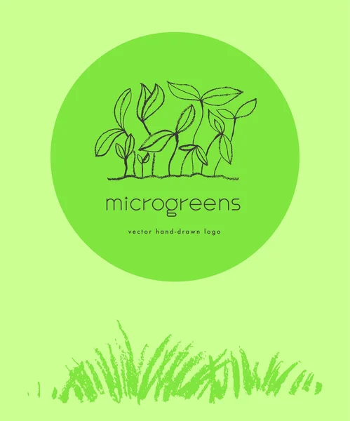 Vector Dibujado Mano Emblema Para Logotipo Agrícola Con Concepto Hidropónico — Archivo Imágenes Vectoriales