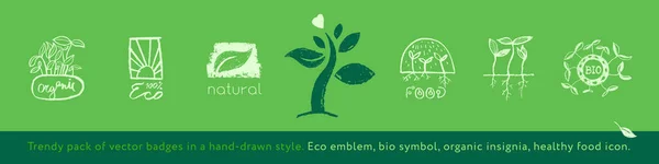 Vecteur Aliments Sains Croquis Icônes Emblèmes Écologiques Pour Logo Agriculture — Image vectorielle