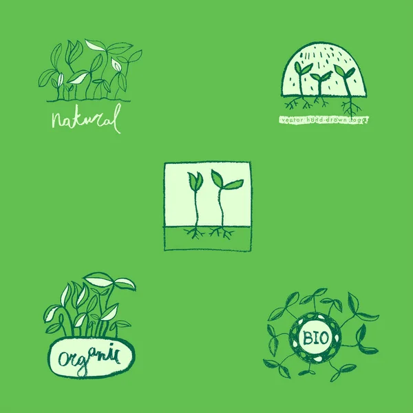 Ícones Esboço Comida Saudável Vetorial Emblemas Ecológicos Para Logotipo Agricultura —  Vetores de Stock