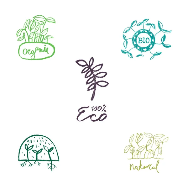 Vector Gezonde Voedsel Schets Pictogrammen Milieuvriendelijke Emblemen Voor Het Logo — Stockvector
