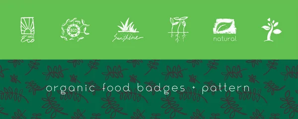 Ícones Esboço Comida Saudável Vetorial Emblemas Ecológicos Para Logotipo Agricultura —  Vetores de Stock