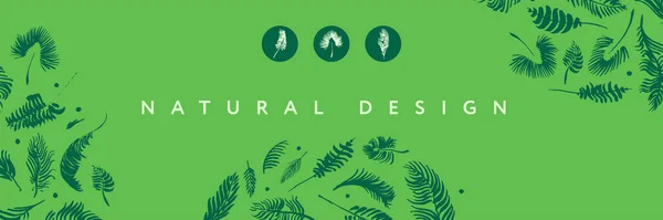 Vektor Exotisches Banner Mit Zeichnungen Von Palmblättern Natürliche Kosmetische Bild — Stockvektor