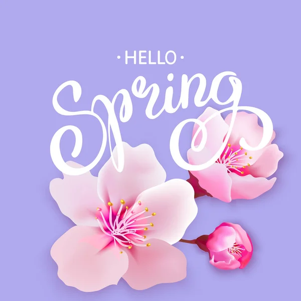 Kirschblüten Hintergrund und Frühling Hand Schriftzug isoliert auf — Stockvektor