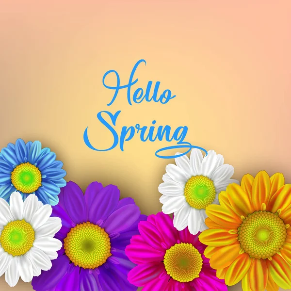 Colorful spring background with beautiful flowers. Vector illust — Stock Vector