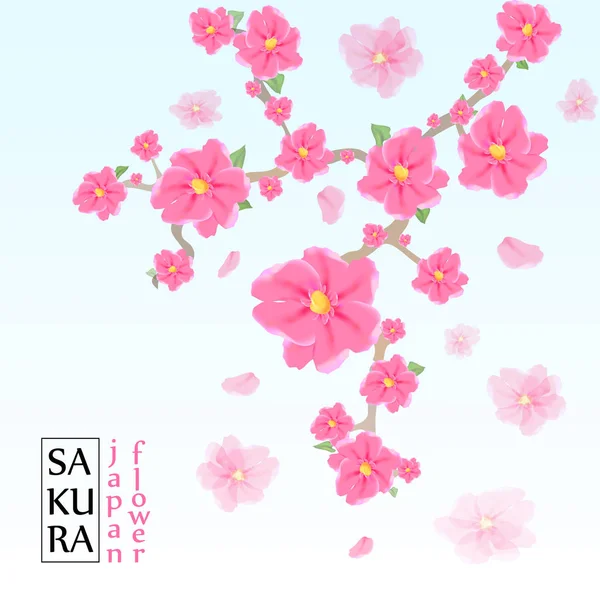 Sakura Japón rama de cerezo con flores florecientes vector illustra — Vector de stock