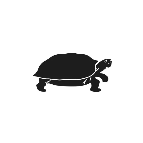 Symbol ikony želvy. Prvotřídní kvalitní izolovaný prvek želvy v módním stylu. Vektor — Stockový vektor