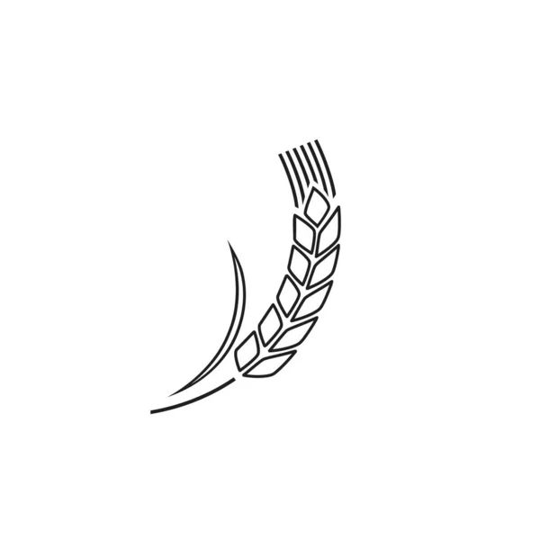 Weizenspitze isoliert auf weißem Hintergrund. Getreidepflanzensilhouette. Spica Liniensymbol. Ohr organisch. Vektorillustration flaches Design — Stockvektor