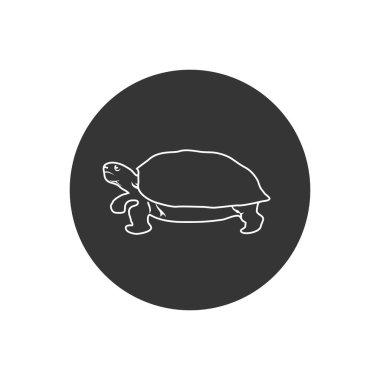 Kaplumbağa çizgisi simgesi. Moda tarzında birinci kalite izole kaplumbağa ögesi