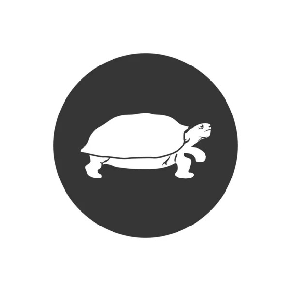 Symbol ikony želvy. Prvotřídní kvalitní izolovaný prvek želvy v módním stylu. Vektorová ilustrace — Stockový vektor