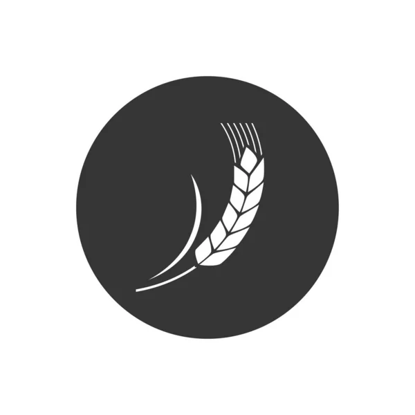灰色の背景に分離されたコムギスパイクホワイト 穀物植物のシルエット スピカ アイコン耳有機 ベクトルイラスト平面デザイン — ストックベクタ