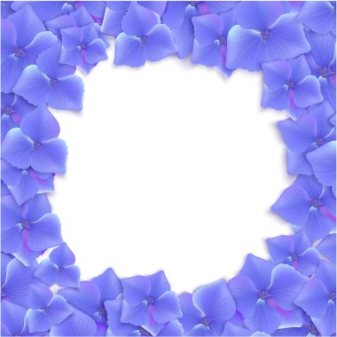 Beyaz arka planda güzel mavi ortanca çerçevesi. Vektör illüstrasyonu