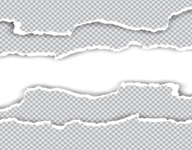 Beyaz vektör arkaplanı üzerinde metin veya mesaj için kare yırtılmış yatay kağıt şeritleri