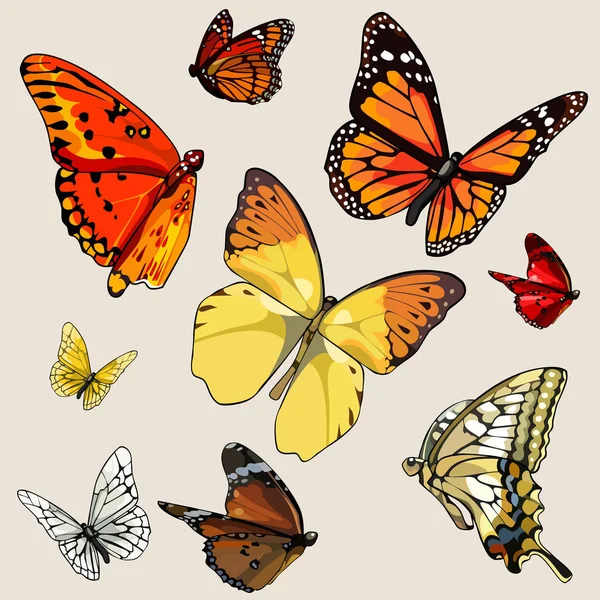Set of different butterflies in flight — Stock Vector