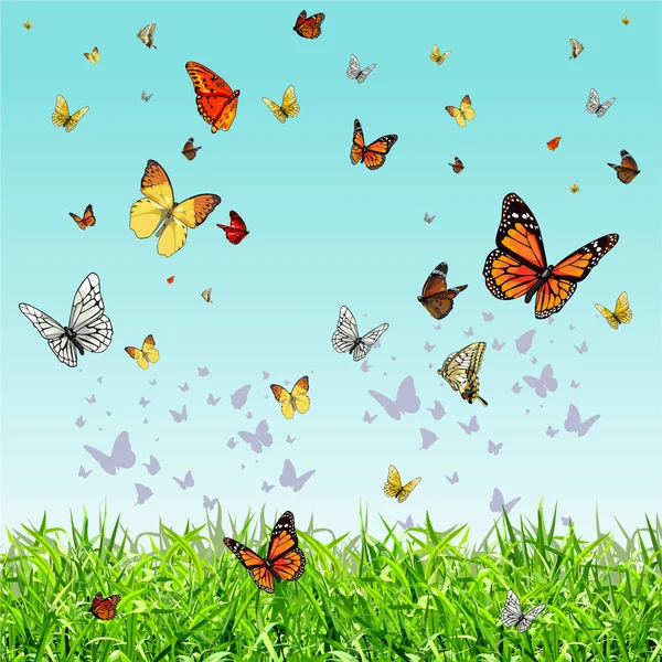 Different butterflies flying over the green grass — Stock Vector