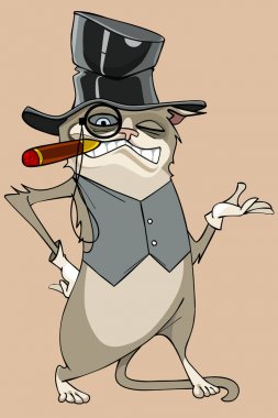 bir tek gözlük ile şapkalı karikatür komik kedi