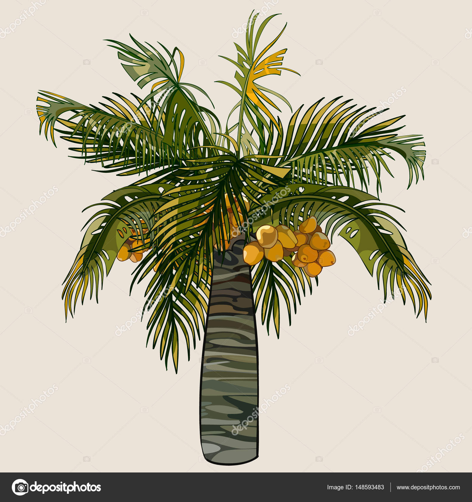 ココナッツとヤシの木の漫画