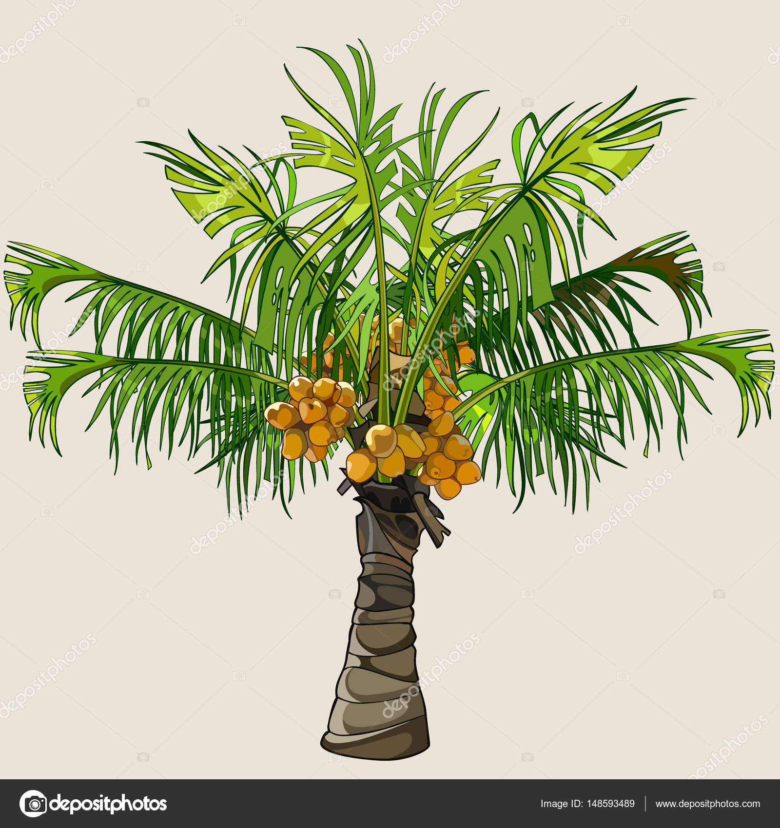 Cartoon small palm tree with coconuts Stock Vector Image by ©Westamult #148593489 Cartoon small palm tree with coconuts Stock Vector Image by ©Westamult #148593489