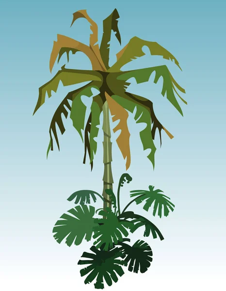 Cartoon kokosnöt träd palmer och tropisk växt — Stock vektor