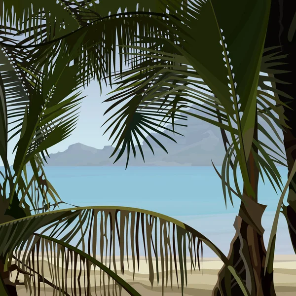 从灌木丛看热带海岸棕榈树 — 图库矢量图片