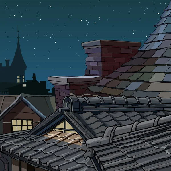 Części kreskówka dachy z płytek gwiaździstą noc — Wektor stockowy