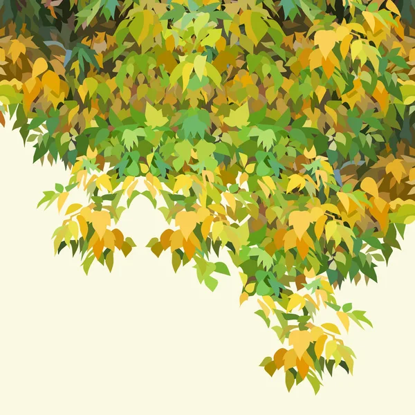 Фон пофарбований в осінь жовто-зелене щільне листя — стоковий вектор