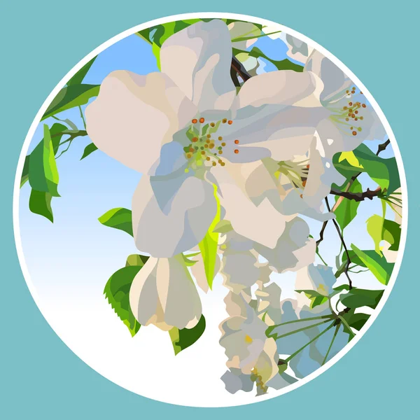 White flowers of a blossoming apple tree in a circle — Stock Vector