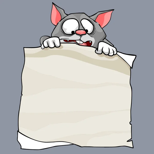 Cartoon förvånad katt håller ett tomt pappersark — Stock vektor