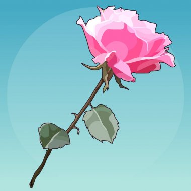 boyalı çiçek mavi arka plan üzerinde güzel pembe Gül